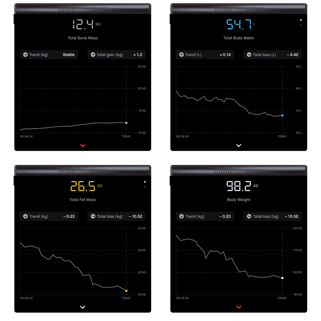 Several mockups of the scale are positioned side by side. They show the first detail level of the various body components. They are all similarly structured and differ only in the data and color schemes.