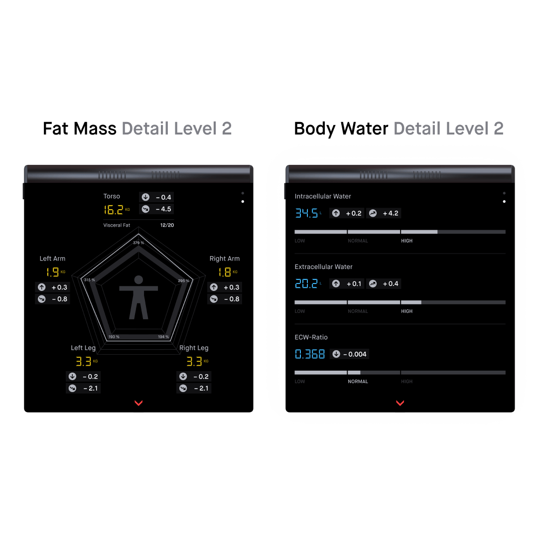 Several mockups of the scale are positioned side by side. They display the second detail level of the various body components.