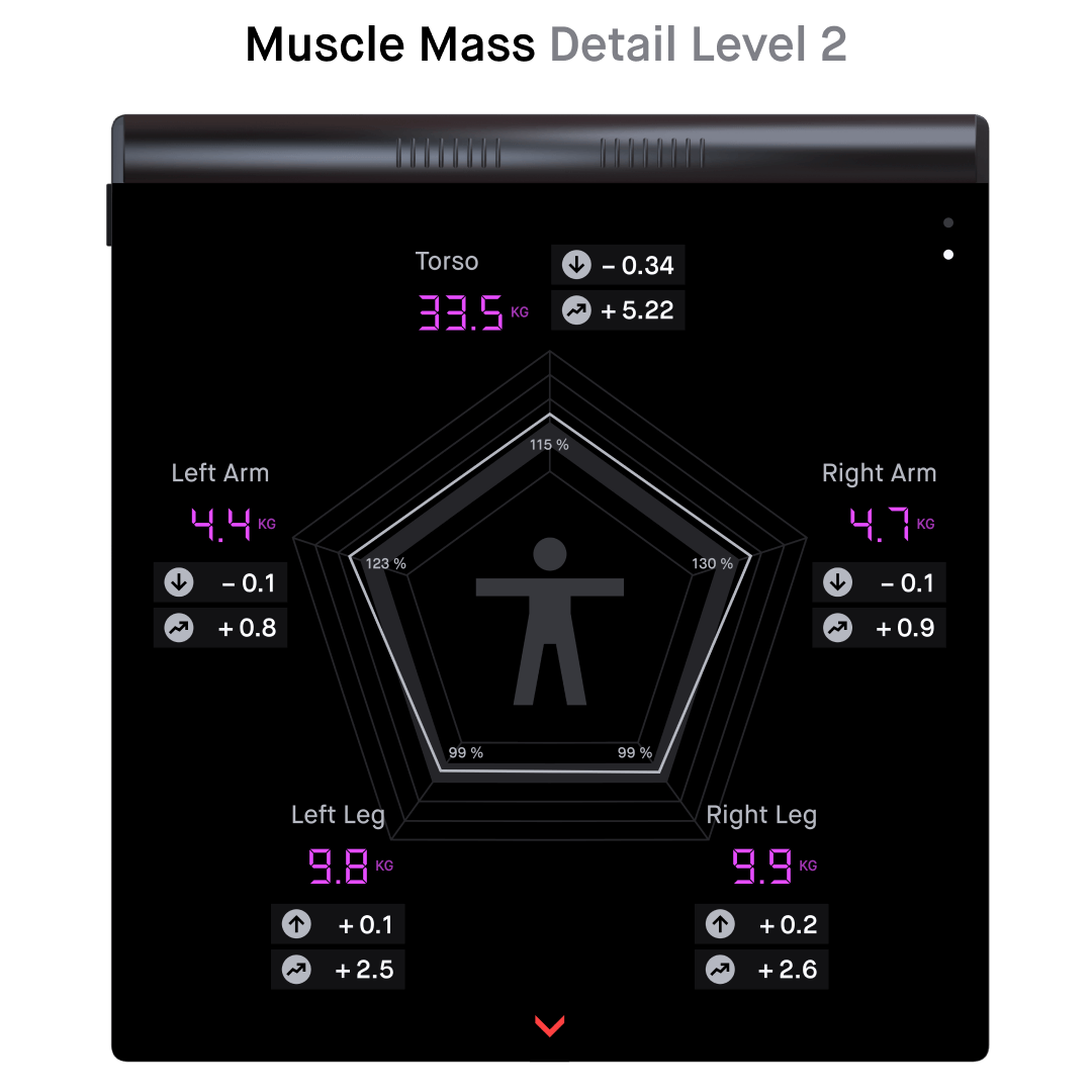 Several mockups of the scale are positioned side by side. They display the second detail level of the various body components.