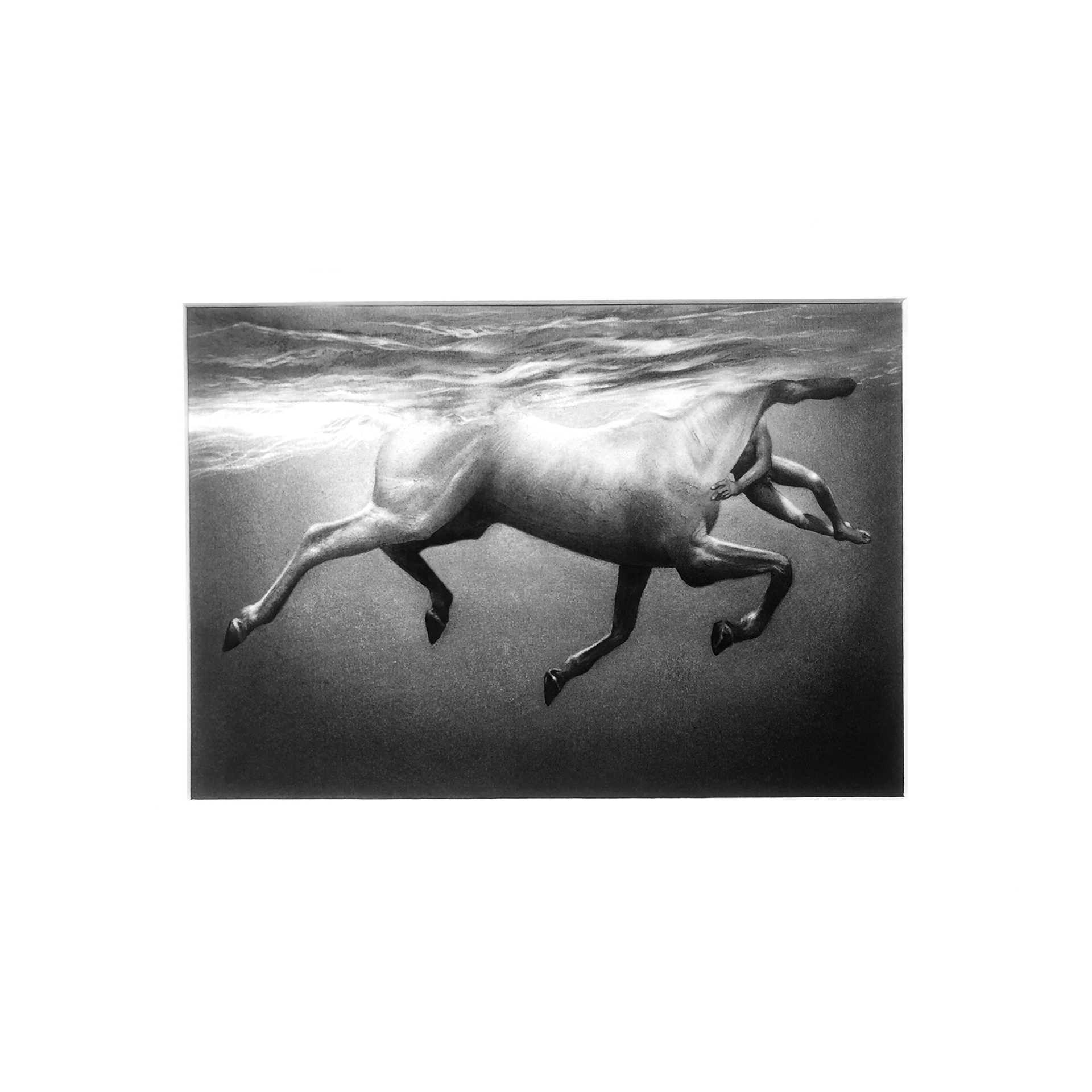 The image shows a black-and-white drawing. It depicts a horse underwater, swimming in the sea. The horse’s head is above the surface and not visible. In front of the horse is the body of a boy swimming alongside it.