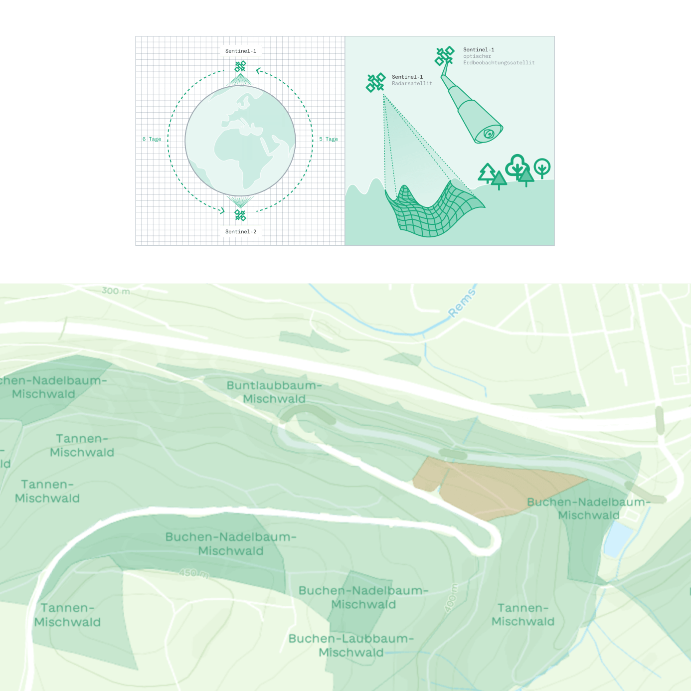 The image shows an illustration and a section of a map. The illustration depicts a globe with two satellites facing each other and orbiting the Earth. These represent the Sentinel-1 and Sentinel-2 satellites. To the right, a second illustration shows the different functions of a radar satellite and an optical Earth observation satellite. On the map, different shades of green and labels mark various forest types.