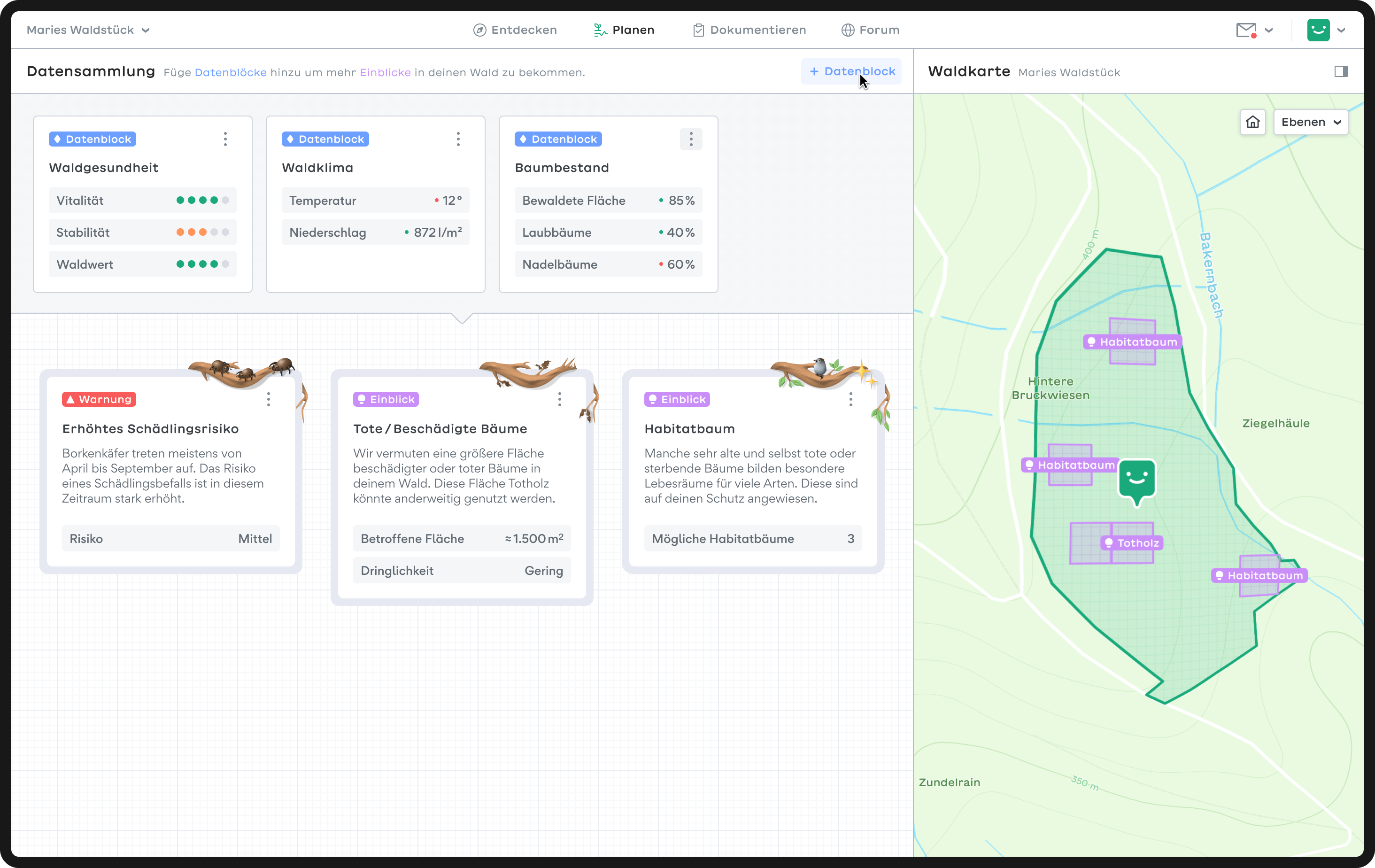 The image shows a mockup of a computer screen. It displays the Plan page. The right third of the screen shows a map, with the user’s forest area marked in green. Within this area, sections are marked with pink squares. To the left of the map are three cards displayed side by side, providing information on forest health, forest climate, and tree population. Below them are three more cards providing information about anomalies in the forest, giving more details on the points marked on the map.