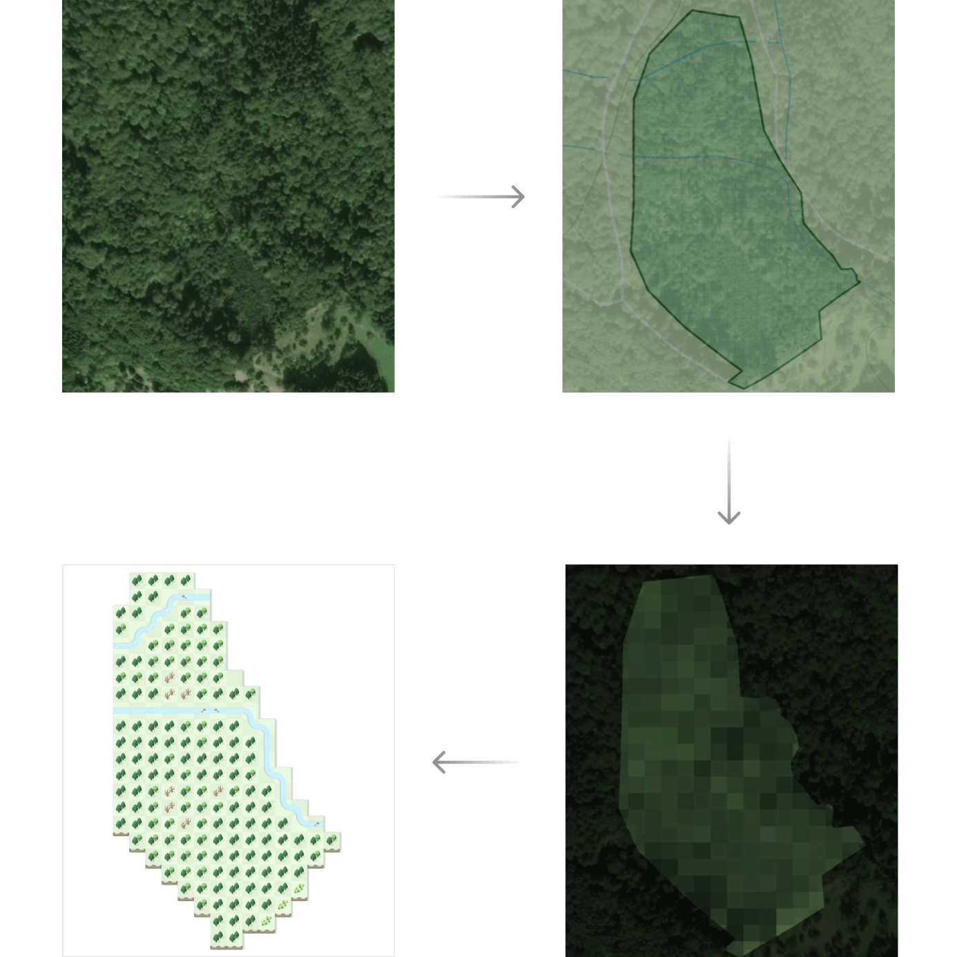 The image shows four illustrations connected by arrows. The first photo shows a forest area from above. An arrow points to the second image, where this forest area is faded out, and a green area is marked. In the third illustration, the tree crowns within the marked area are represented by pixels. The fourth illustration shows a stylized version of this forest map.